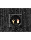 Reproduktor DALI ALTECO C-1 | Dolby Atmos® zvuk