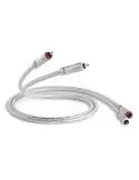 QED SIGNATURE stereo kabel | 2x RCA M - 2x RCA M