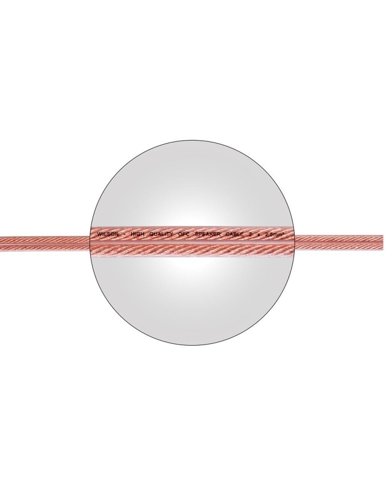 Reproduktorové kabely 2x 2,5 mm | SPK CABLE 2.5MM | WILSON