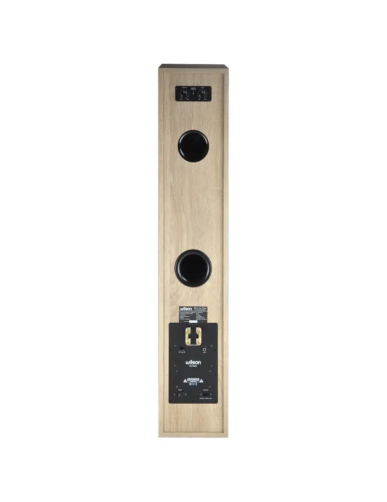 Podlahový reproduktor SIX POWER | Aktivní subwoofer | WILSON
