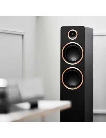 Aktivní reproduktory FENRIS ACTIVE 55 | Výkonný zvuk | ARGON AUDIO 2
