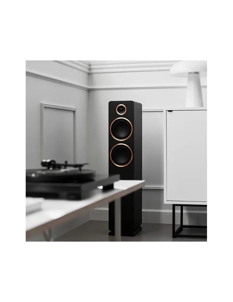 Aktivní reproduktory FENRIS ACTIVE 55 | Výkonný zvuk | ARGON AUDIO