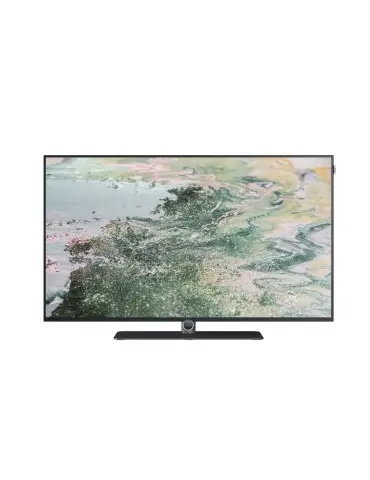 OLED 4K televizor LOEWE bild i.48 dr+ | 48" | OLED technologie 2
