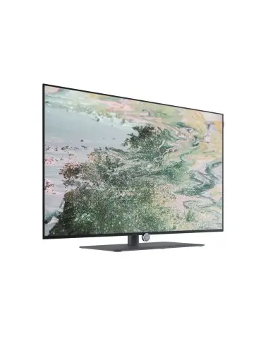 OLED 4K televizor LOEWE bild i.48 dr+ | 48" | OLED technologie