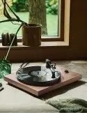 Argon Audio TT-3 PLUS — gramofon s Ortofon 2M Red a vestavěným RIAA
