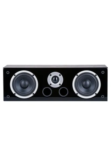 Set DENON AVC-X2900H DAB | Wilson Raptor | Domácí kino 2