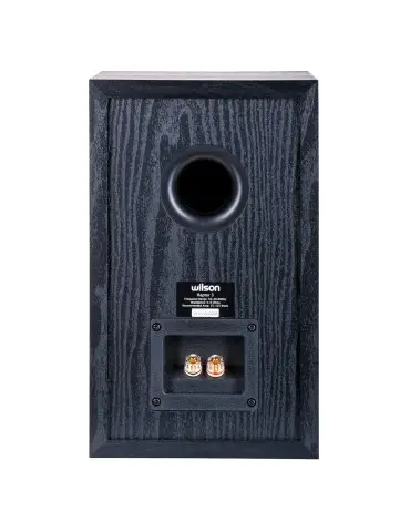 Wilson Raptor 3 — stojanové reprosoustavy, bass reflex zadní 50–20 kHz