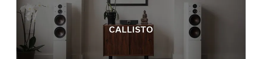 CALLISTO