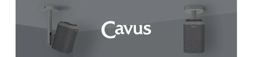 CAVUS